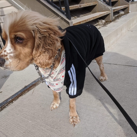 Meet your Posher, Christine - Picture 1 of 1